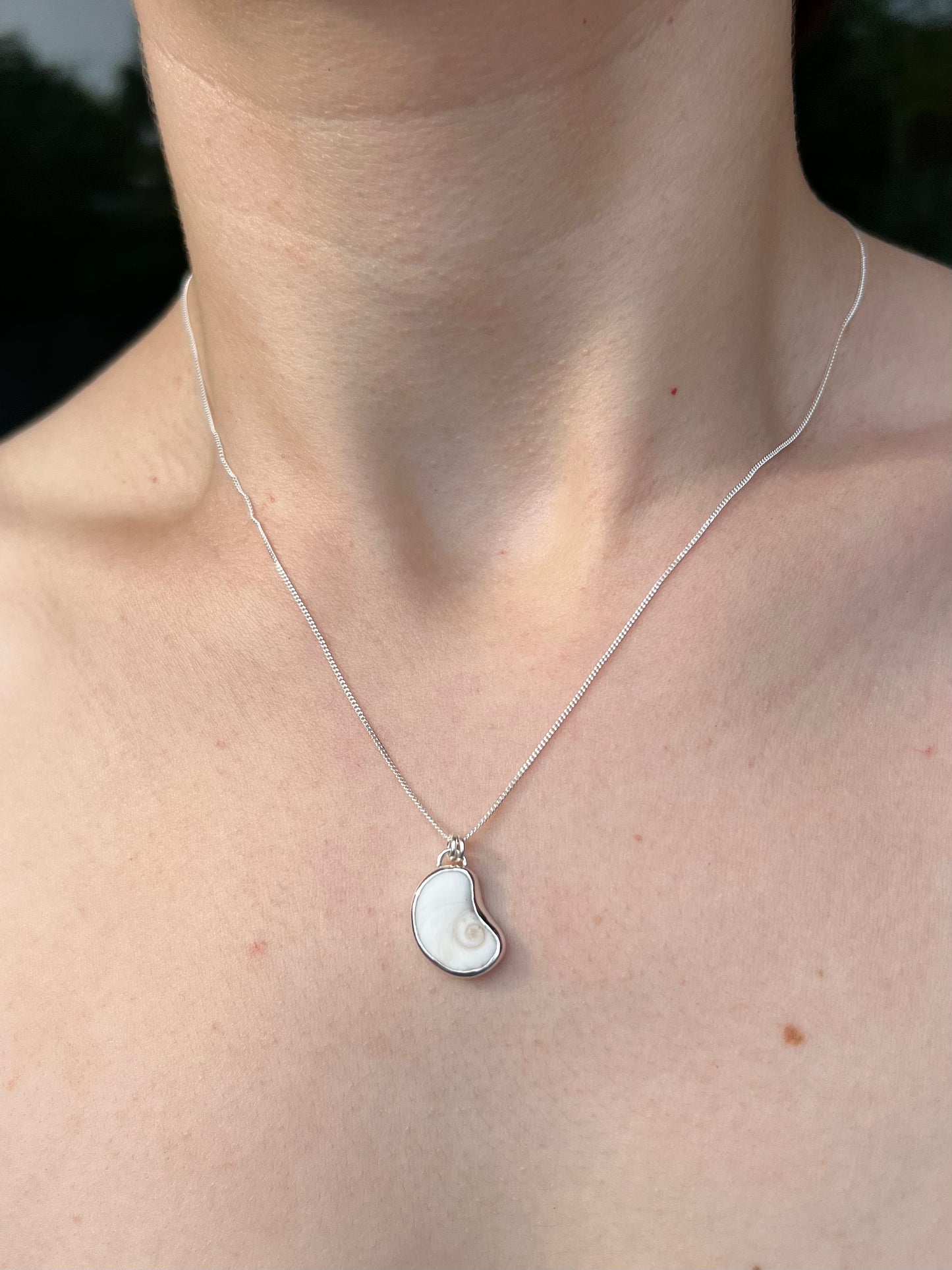 Shiva Auge (Operculum) Silberkette