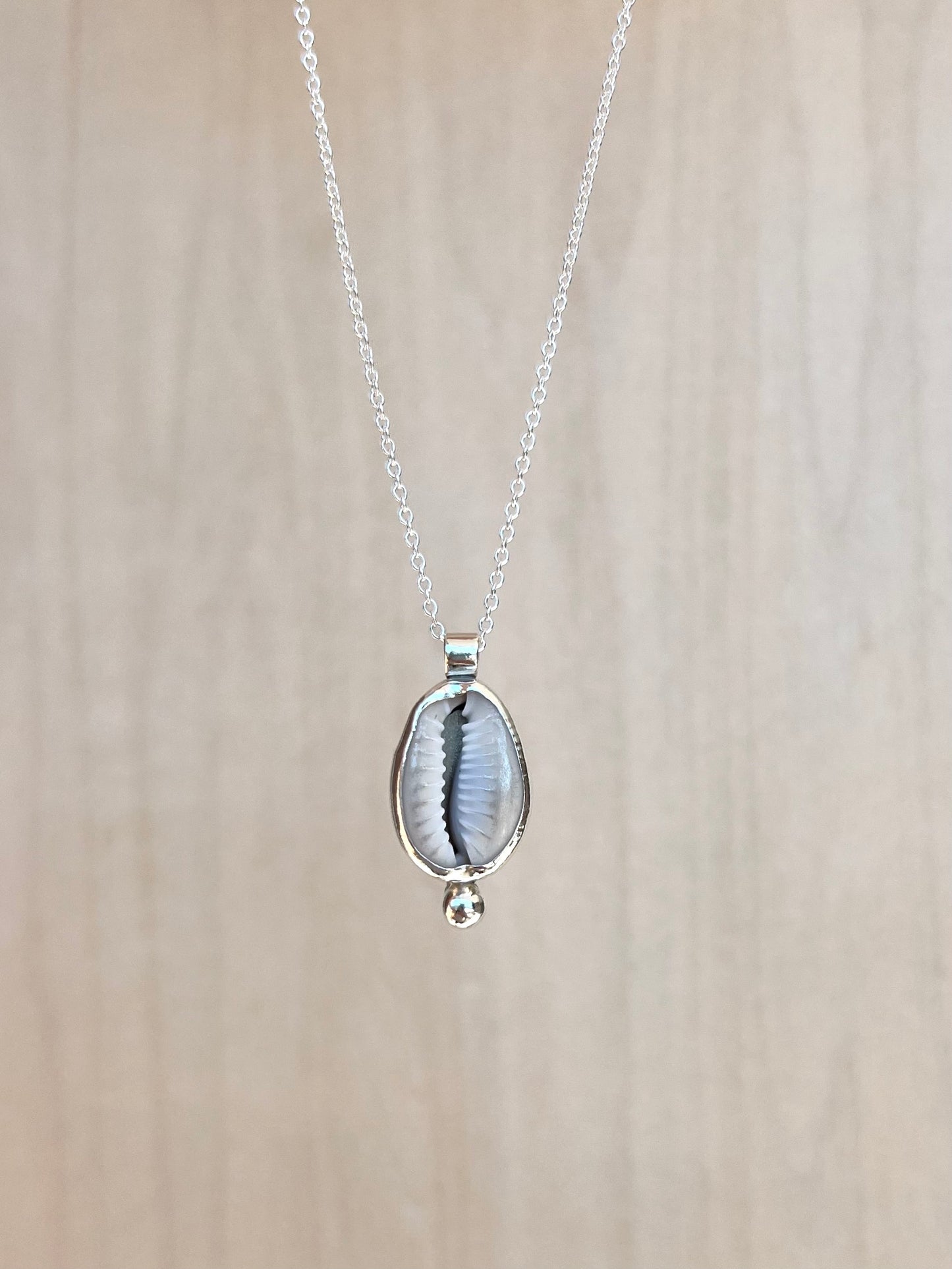 Silberkette mit Kaurimuschel