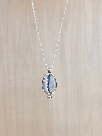 Silberkette mit Kaurimuschel