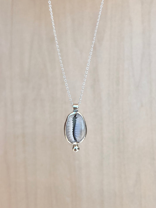 Silver necklace with cowrie shell
