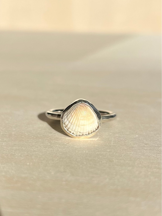 Ostseemuschel Silberring Größe 58/8,5