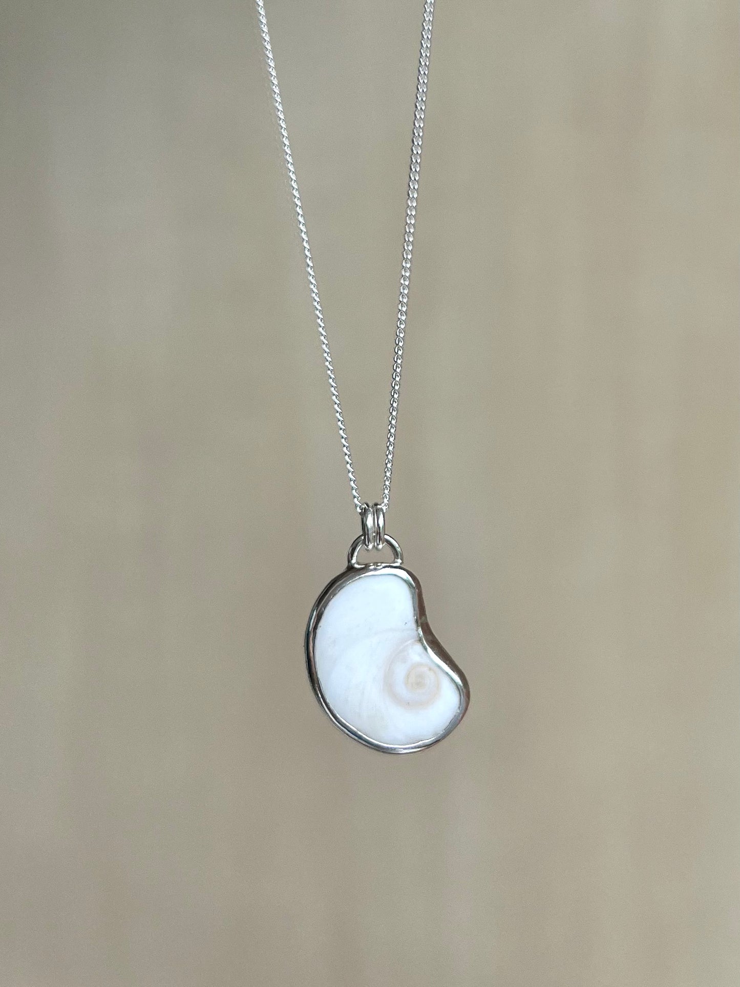 Shiva Auge (Operculum) Silberkette