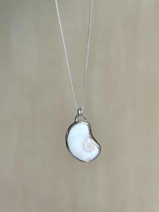 Shiva Eye (Operculum) Silver Necklace