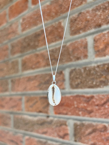 Cowrie shell silver necklace