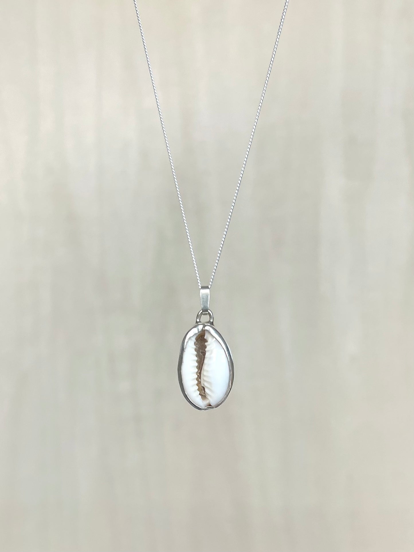 Cowrie shell silver necklace