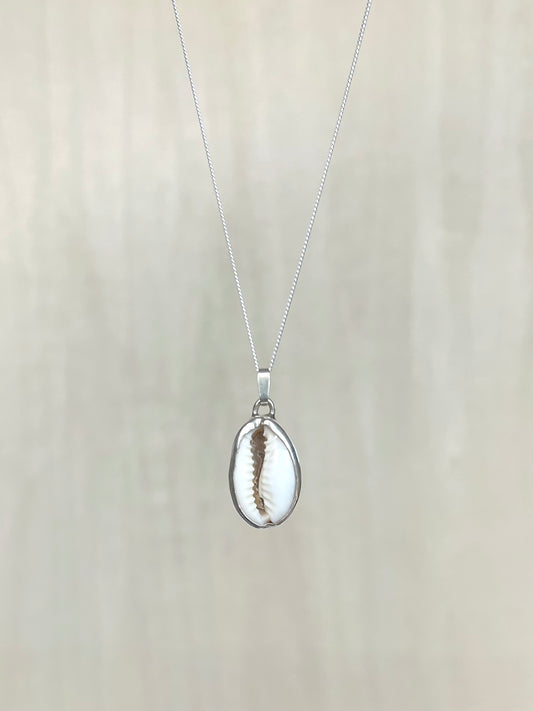 Kaurimuschel Silberkette