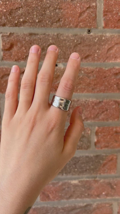 Dolphin / Porpoise spoon ring size 58/8.5